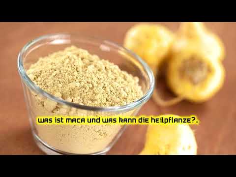 Was ist Maca und was kann die Heilpflanze?