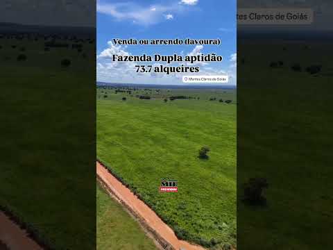 Fazenda 73.7 alqueires ( 356.9 hectares ) Montes Claros de Goiás #fazendaavenda #agro