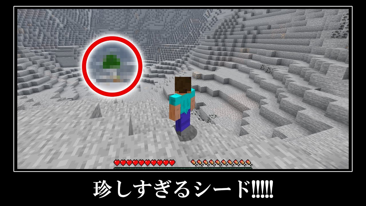 【衝撃】こんなのアリ？尖った山頂の中が珍しいシード＆激レアなシード５選