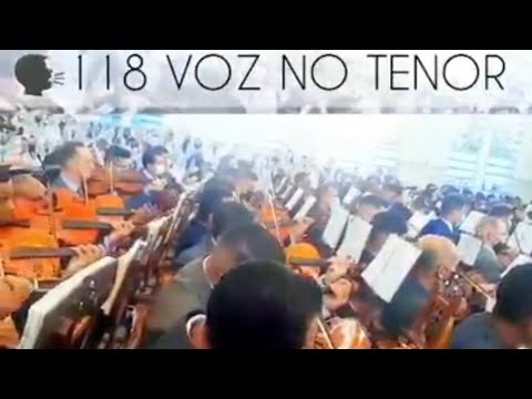 ENSAIO REGIONAL CCB Pq  das Nações - GUARULHOS - SP 118 VIOLAS - 215 ORGANISTAS - JOAQUIM DO JAÇANÃ