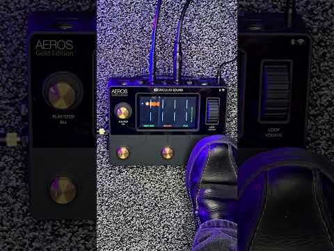 Singular Sound Aeros Loop Studio - Black image 12