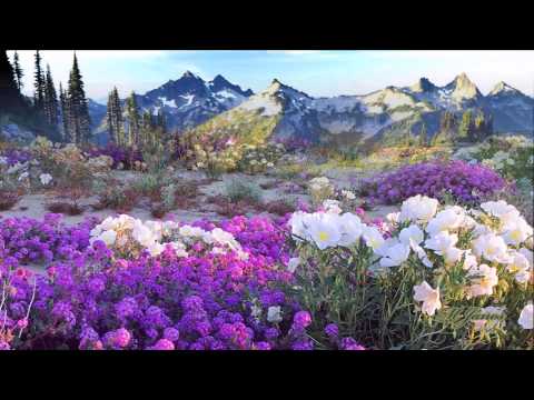 ♪♫Flowers of the Forest ~ Mike Oldfield