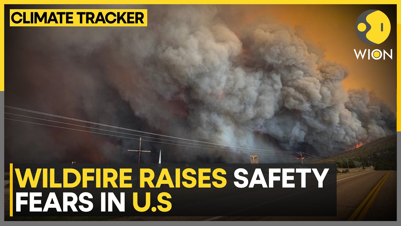 Utah-Colorado Border Wildfires Turn Deadly | Climate Tracker | WION News