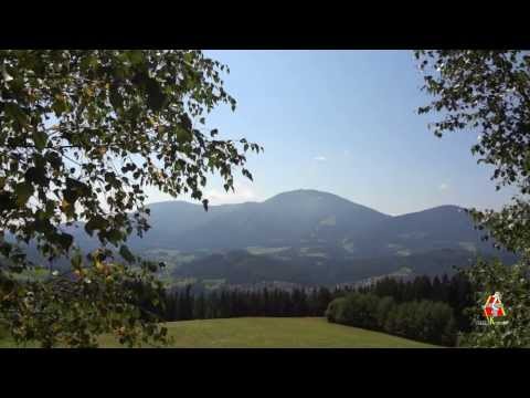 Milan Kamnik - Uršlji gori