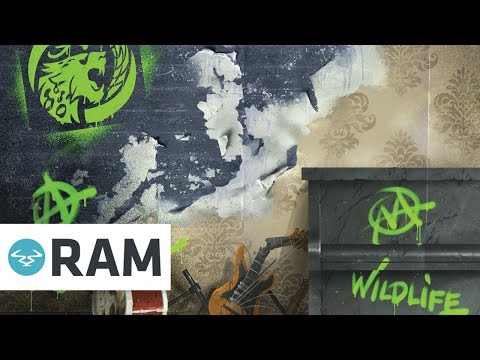 June Miller & Teddy Killerz - Wildlife