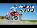 Riding Pit Bikes in Skate Park!!