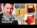 Do Regrowing Food Scraps Hacks Actually Work