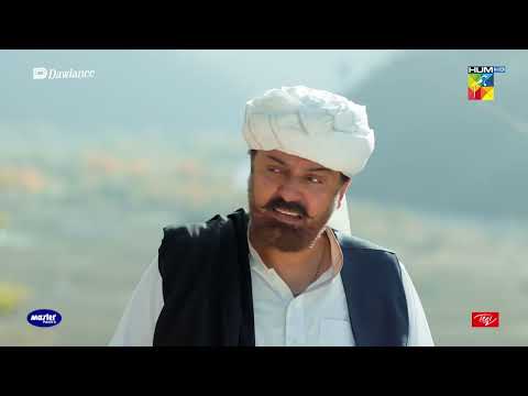 Ek Sher Ki Bachi Aur Marta Hua Admi - Sang-e-Mah - HUM TV