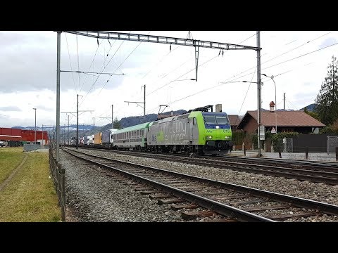 Bahnverkehr in Gwatt/Trafic ferroviaire à Gwatt (19.1.2018)