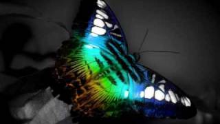 Slimy - Paint Your Face (Bob Sinclar and Dj 2152 )