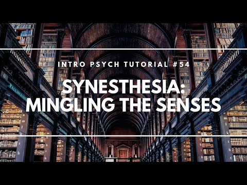 Introduction to Sensation and Perception Intro Psych Tutorial 40
