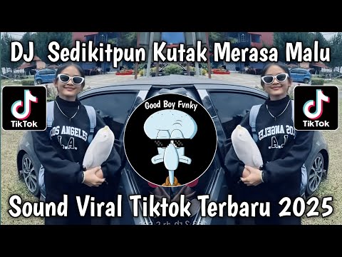 DJ SEDIKITPUN KU TAK MERASA MALU || DJ JOMBLO HAPPY SLOW BASS VIRAL TIKTOK TERBARU 2025 