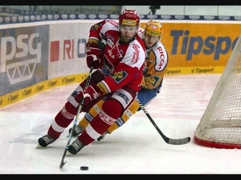 HC Mountfield 2010/2011