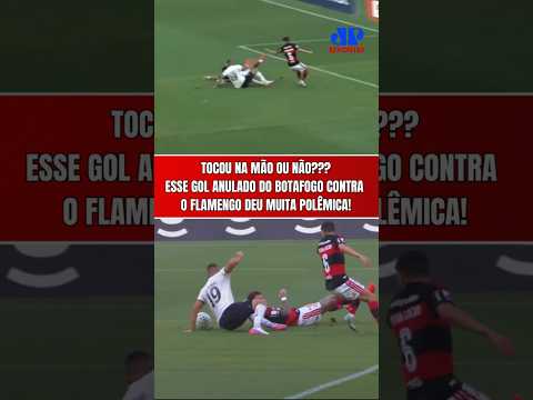 POLÊMICA!!! OLHA O GOL ANULADO DO BOTAFOGO CONTRA O FLAMENGO! TOCOU NA MÃO DO ARTHUR CABRAL?