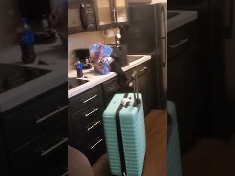 Sonesta Simply Suites Clearwater PIE