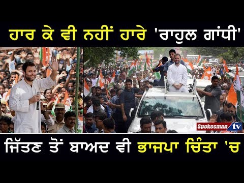 ਹਾਰ ਕੇ ਵੀ ਨਹੀਂ ਹਾਰੇ 'ਰਾਹੁਲ ਗਾਂਧੀ' ਜਿੱਤਣ ਤੋਂ ਬਾਅਦ ਵੀ ਭਾਜਪਾ ਚਿੰਤਾ 'ਚ