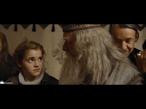 The First Task | Harry Potter and the Goblet of Fire