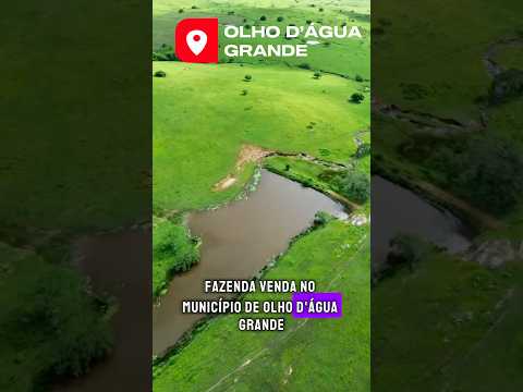 Olho d’Água Grande - 445 Tarefas #fazenda #sitio #alagoas