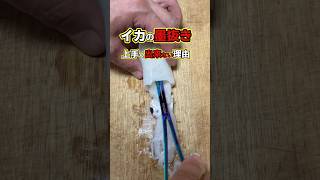 【衝撃】イカの墨抜きが失敗する本当の理由 #ケンサキイカ #イカメタル #フォーセップ