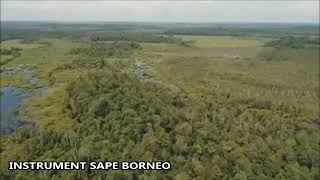 Download lagu Keindahan alam Kalimantan,dan di iringi musik tradisional Dayak. mp3 Download lagu Keindahan alam Kalimantan,dan di iringi musik tradisional Dayak. mp3