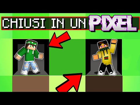 MINECRAFT MA NON POSSO USCIRE dal PIXEL [NICO]