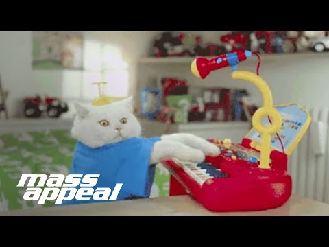Video thumbnail for All Meow Life