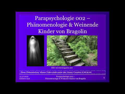 Phänomenologie & Weinende Kinder von Bragolin - Parapsychologische Theorie [002]
