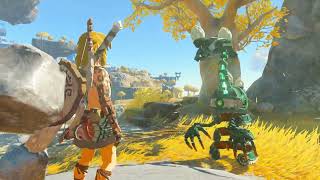 Zelda: Tears of the Kingdom Part 7 - In-isa Shrine