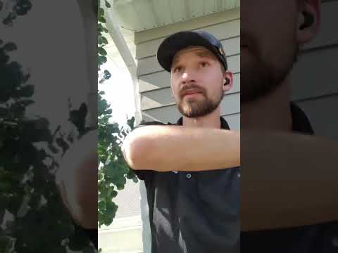 Trees Are Beautiful... Until They Destroy Your Gutters. Here Is What You Need to Know