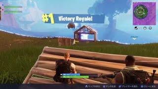 【PS4】みーさんとFORTNITEのデュオでドン勝