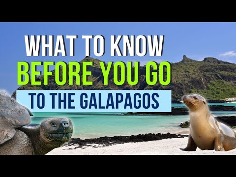 15 Things You Should Know Before You Go to the Galapagos Islands