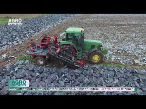 , title : 'AgriTech: Mașina de recoltat varză care face munca a 30 de oameni – AGRO TV News'