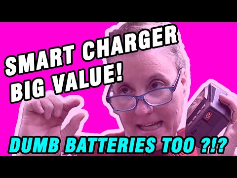 Spektrum Smart G2 S155 Charger - WHAT A BARGAIN!!!
