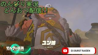 どんおつ配信「ゼルダの伝説 ティアーズオブザキングダム」24