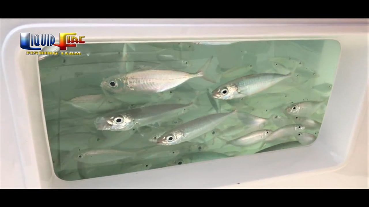 Best Marine Sea Chest System at the 2019 MIBS.