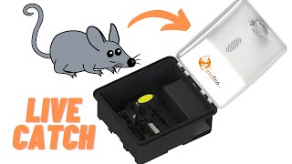 Chwytacz gryzoni Live Mouse Trap XL na myszy (Zdjęcie 2)