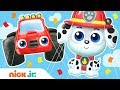 Balloon Parade W PAW Patrol Blaze Bubble Guppies Dora Nick Jr