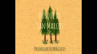 Dromedarios Mágicos - Pistache (Audio Oficial)