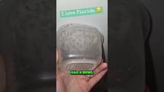 Never Touch Wolf Spiders!🕷️