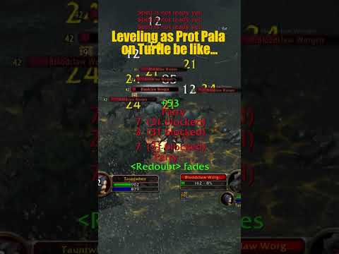 Leveling as Prot Pala be like #worldofwacraft #turtlewow