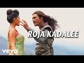 Anekudu Roja Kadalee Video Dhanush Harris Jayaraj