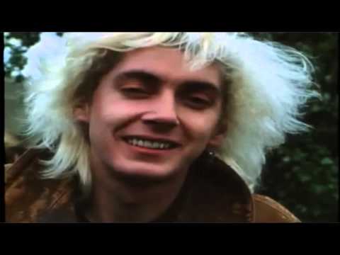 Budgie