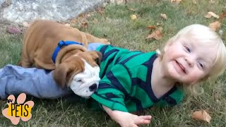 Have Some Adorable Moments | The Best Cute, Funny Animal Videos Compilation #10 | AFV Pets