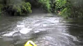 preview picture of video 'Tweed River Kayaking 2010-10-09'