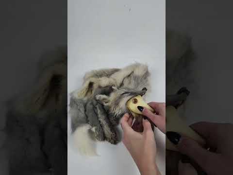 Test Fitting a Baby #fox: Incredible #taxidermy Process Revealed!