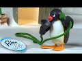 Pingu Plays Tricks With The Hose Pingu Official Channel
