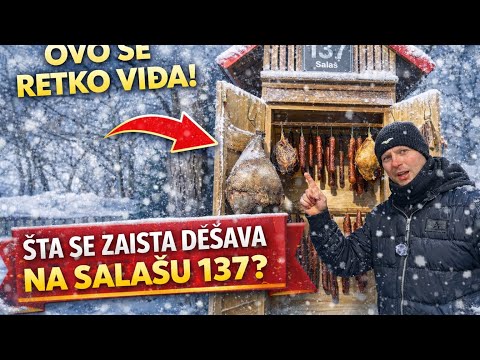Winter Day at Salaš 137 | Tradition & Atmosphere