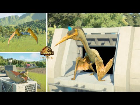 ALL 13 FLYING REPTILES INTRODUCTION IN JURASSIC WORLD EVOLUTION 2 !
