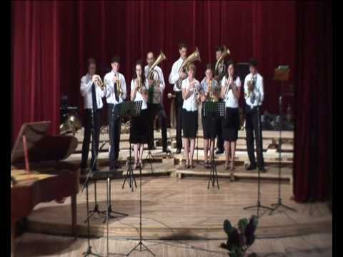 Fanfara AZS Botus Festival Radauti