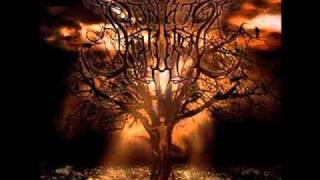 Sonata Soturna - Heaven Created